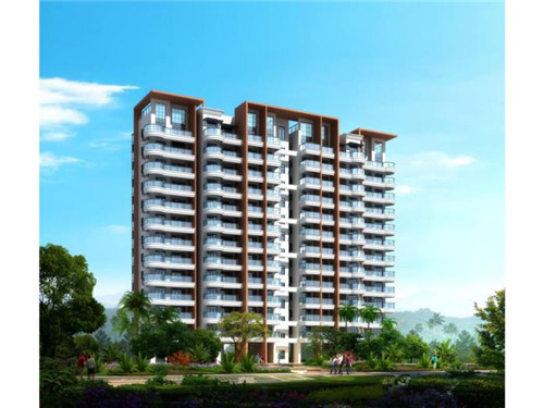 成记椒颜酸菜小鱼