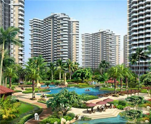 血站大盘鸡6大奇招