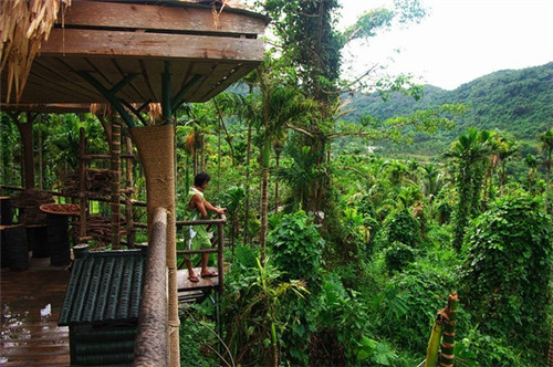 开一个饮品店，自己创业开饮品店需要多少钱