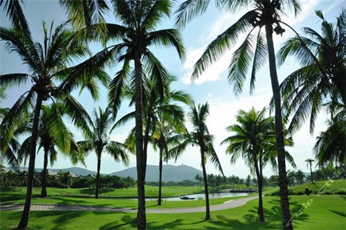 卡露丝干洗是全国连锁吗，加盟卡露丝干洗开店怎么样