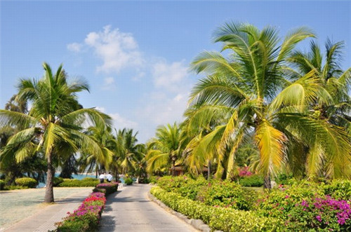 加盟卡奇凌冰淇淋受欢迎吗