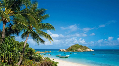 加盟察理王子投资回报周期多久