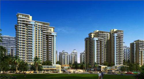 猪尾巴炒毛豆怎么炒（猪尾巴炒黄豆做法大全）