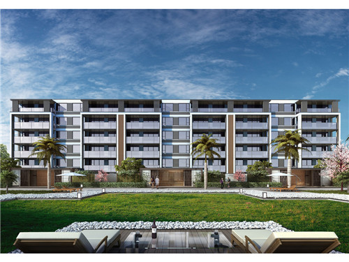 炒毛芹菜炒肉的做法窍门（毛芹炒肉怎么做）