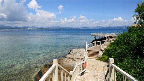 火了全网的歌叫什么（火了火了的歌曲）