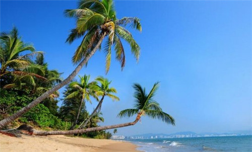 农家炒土豆做法大全（农家炒土豆丝图片）