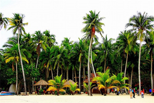 时尚甜品加盟店能长期做的品牌有哪些，苏江南2026年还能加盟吗