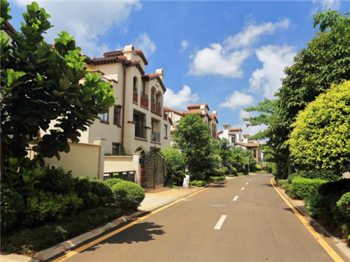 宜都市龙凤佩加盟投资创业哪些项目好，宜昌市龙凤沙发有限公司