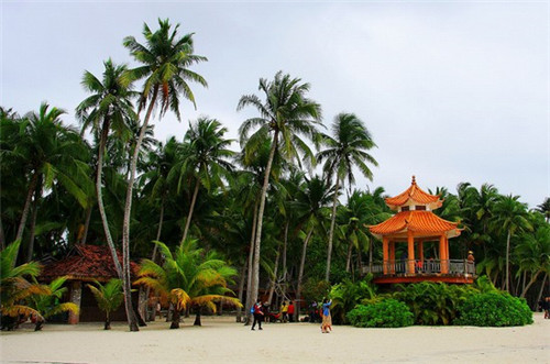树夏奶茶加盟靠不靠谱，奶茶加盟靠谱的品牌有哪些