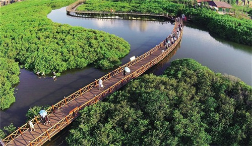 加盟本宫的茶挣钱吗，本宫的加盟费多少