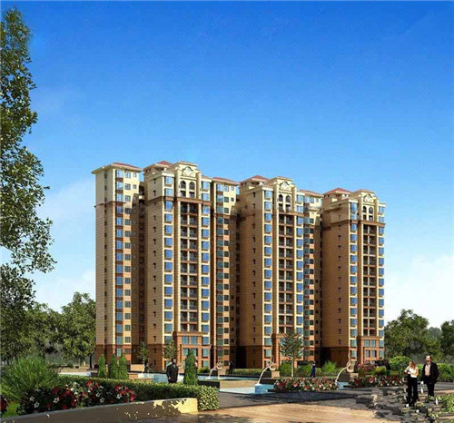 春节吃什么狗粮好（春节买什么食物）